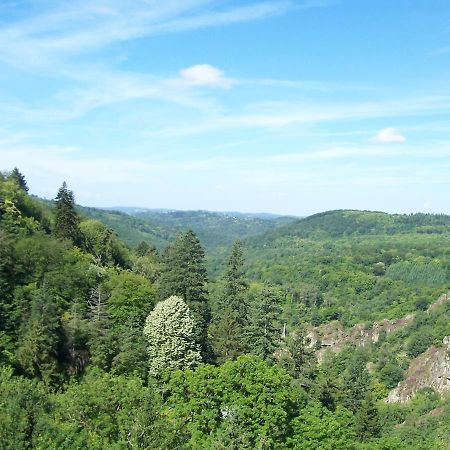 L'Hostellerie De La Vallee Gimel-les-Cascades Exterior foto