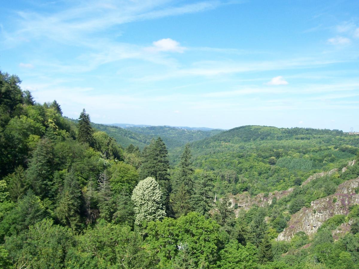 L'Hostellerie De La Vallee Gimel-les-Cascades Exterior foto